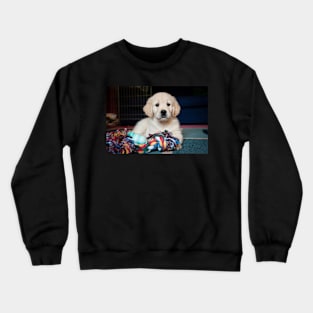 Button Nose Crewneck Sweatshirt